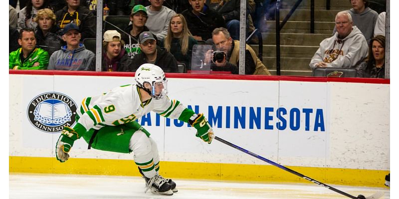 Meet seven high school boys hockey prospects in Minnesota pondering college commitments