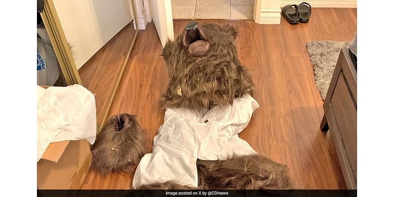 Men Dressed As Bears Destroy Their Own Luxury Cars For Insurance Money