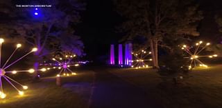 Illumi-Brew to kick off 'Illumination: Tree Lights' at Morton Arboretum this weekend