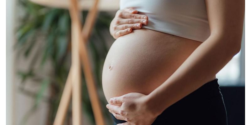 Pregnancy changes the brain more than previously known, study finds