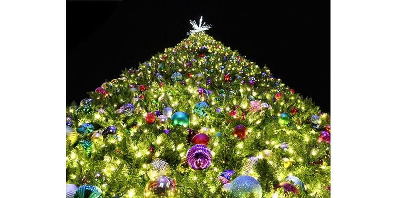 Where Are The Best Holiday Lights In Santa Monica?