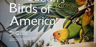 A new exhibit at the Museum of Fine Arts showcases Audubon's lifelike birds