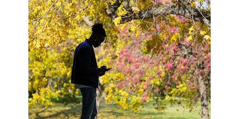 From the Archives: Austin turns crimson, yellow and gold in fall, but only briefly