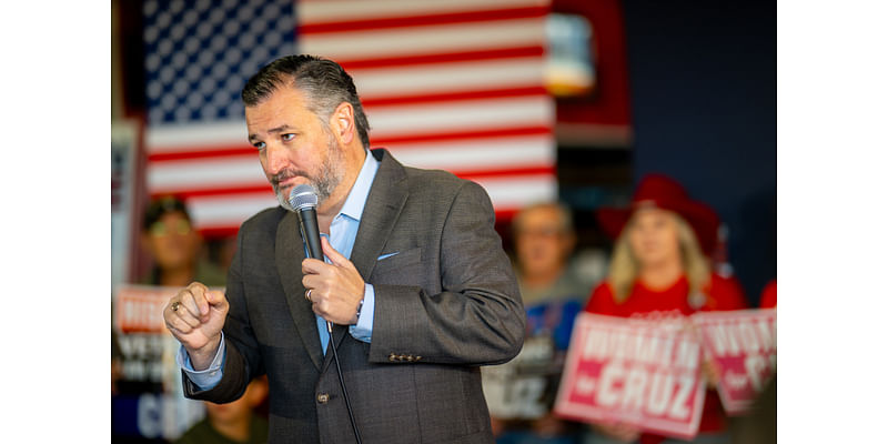 Ted Cruz Is Going to 'Lose for Sure,' Pollster Predicts