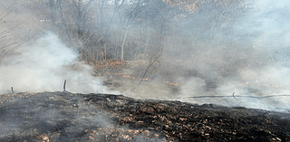 Portion of Pleasant Street in Holyoke closed due to brush fire