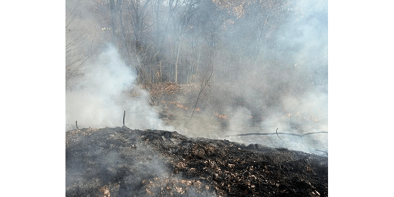 Portion of Pleasant Street in Holyoke closed due to brush fire