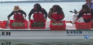 Local organizations unite for oyster restoration