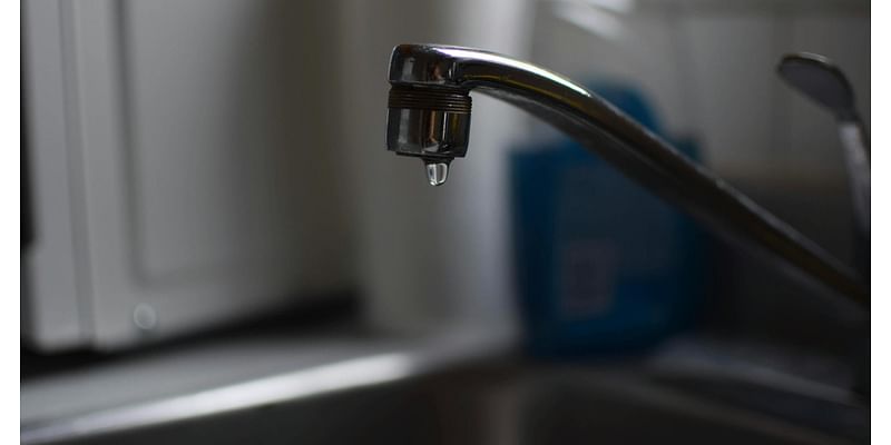 Counterpoint: What we on the Governor’s Commission on Fluoridation knew in the 1970s