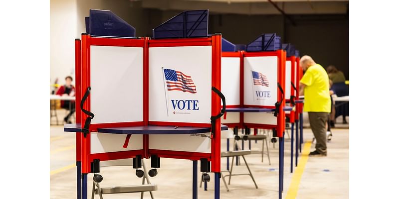 A snapshot of how Saginaw County voters cast their ballots on Election Day 2024