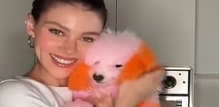 Nicola Peltz shocks fans as she dyes her dogs pink and orange after 'filing lawsuit against pet groomer' over sudden death of beloved chihuahua