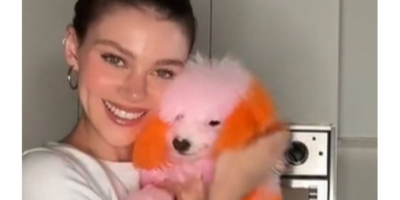 Nicola Peltz shocks fans as she dyes her dogs pink and orange after 'filing lawsuit against pet groomer' over sudden death of beloved chihuahua