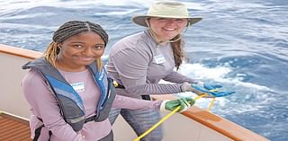 Ocean Explorers and Shark Success