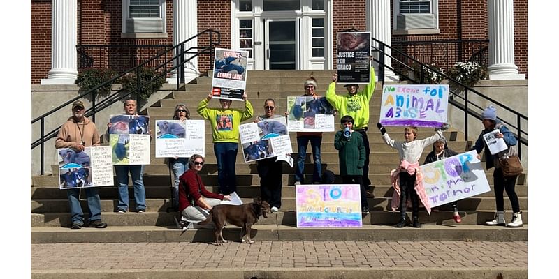 ‘They’re just like us’: Local animal rights advocates urge Fleming County leaders to enforce Ethan’s Law