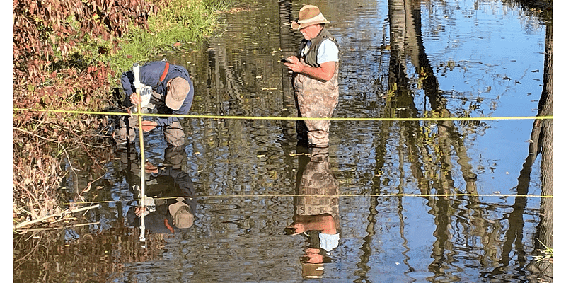 A different kind of field work: Sampling water to assess stream health