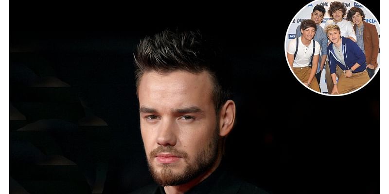 Liam Payne Teased a One Direction Reunion Before His Death