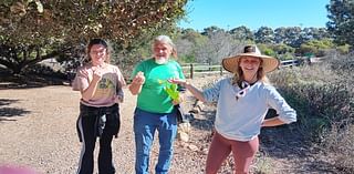 Coastal Sage Gardening tours held at Point Loma Native Plant Garden