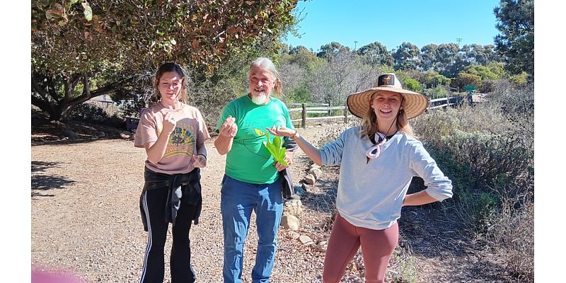 Coastal Sage Gardening tours held at Point Loma Native Plant Garden