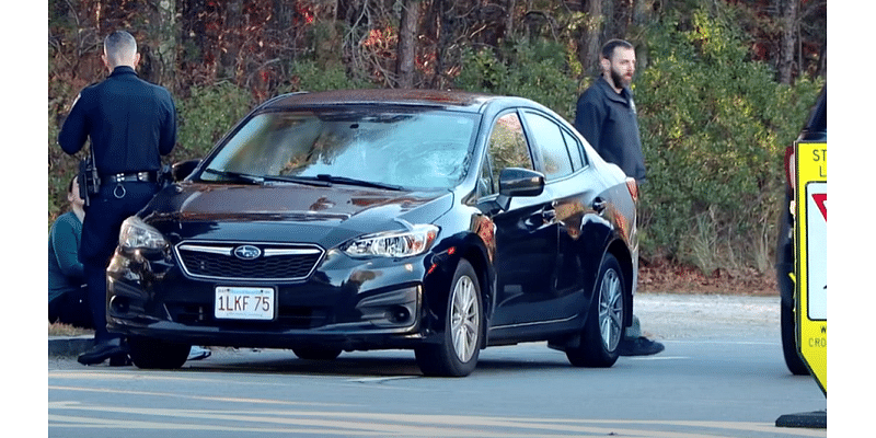 Pedestrian seriously injured, dog killed after being struck by car in Mashpee