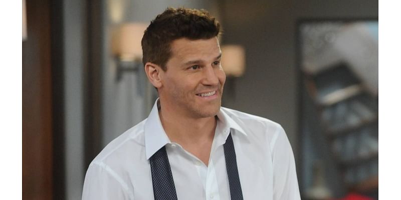 David Boreanaz's Real-Life Father Had A Cameo On Bones