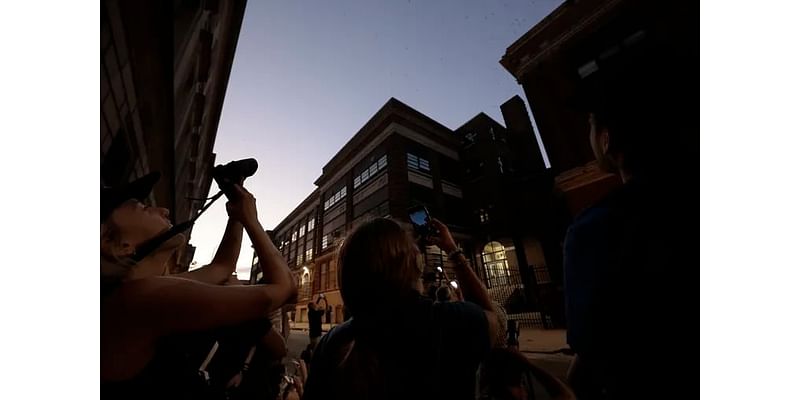 ‘A living cloud’: Hallahan High School becomes a birder attraction as chimney swifts fly in by the thousands