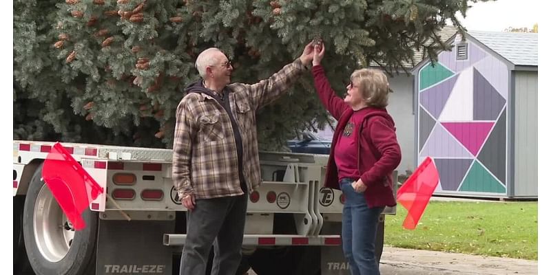 From 'timber!' to tidings, Nampa moves city's Christmas Tree to its holiday location