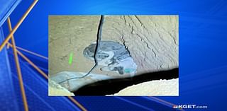 Kern County Fire Department rescues dog trapped in 40-foot hole