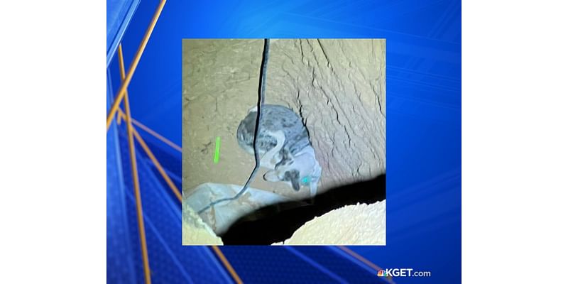 Kern County Fire Department rescues dog trapped in 40-foot hole