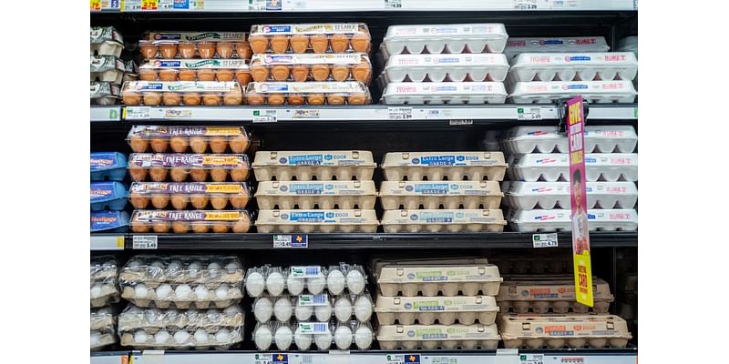 Kroger egg pricing turns merger trial into inflation fight