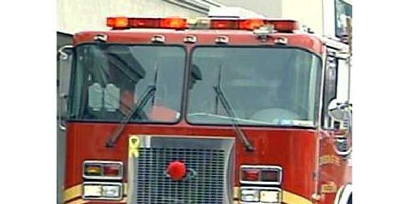 Tree fire reported on Windham Avenue in Avondale