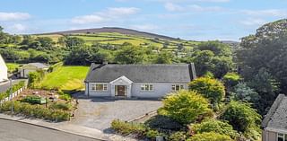 On the market: Four detached homes in Co Carlow