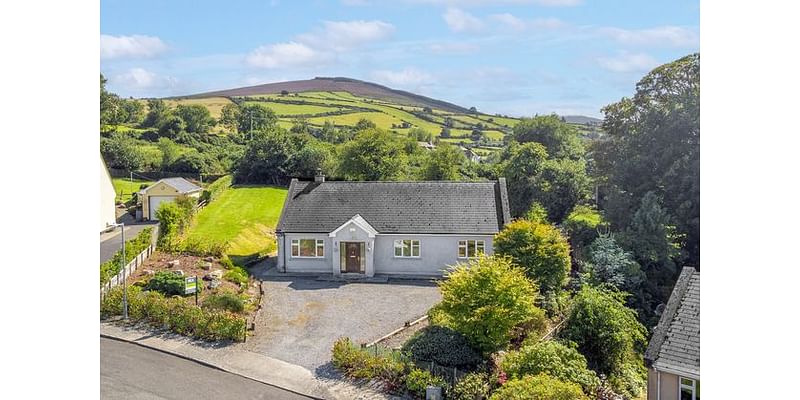 On the market: Four detached homes in Co Carlow