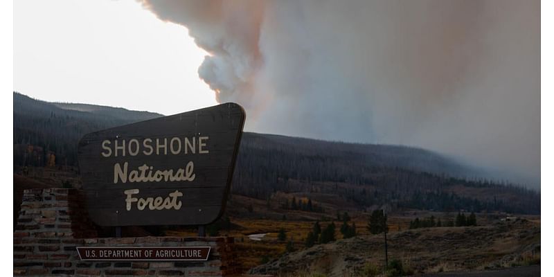 What to do with dead horses? Blow them up, unless its fire season