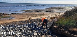 Naze to have extra sea defences at Hamford Water