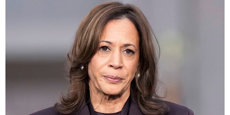 The four most important words in Kamala Harris' concession speech