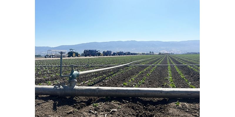 20 years of voting data finds growing turnout gap between Salinas Valley, rest of county