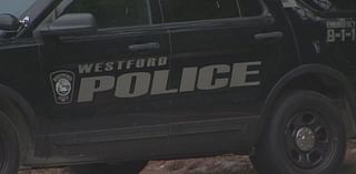 ‘Straight out of Star Wars!’: High tech gadget helps recover BMW stolen from Westford