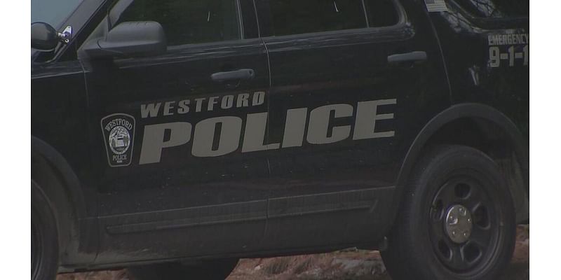 ‘Straight out of Star Wars!’: High tech gadget helps recover BMW stolen from Westford