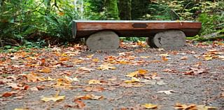 Clean out those storm drains, gutters Friday. Portland gets rain on weekend, into next week