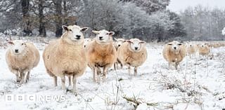 West Watch: Snow arrives in the West Country