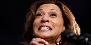 Plagiarism expert says Harris's book 'sloppy to the point of negligence,' not 'malicious'