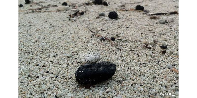 What Are Tar Balls, The Mystery Debris That Is Closing Beaches In Sydney