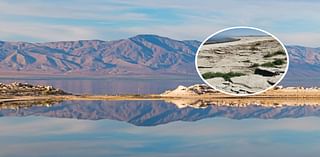 California's Largest Lake is Shrinking Three Times Faster Than Before