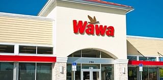 Grand opening announced for first Wawa store in Tallahassee