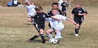 Rox United Panthers Gray upended by PA Rush