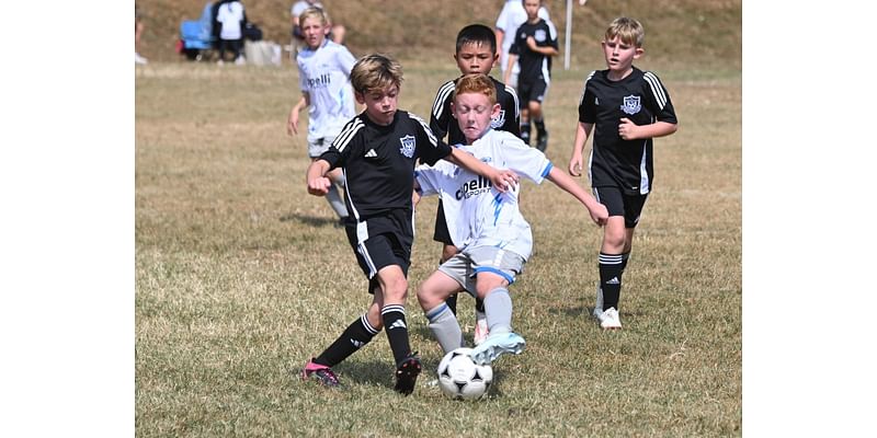 Rox United Panthers Gray upended by PA Rush