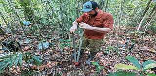 Los Alamos National Laboratory Research Shows Hydraulic Failure In The Tropics Expected To Increase