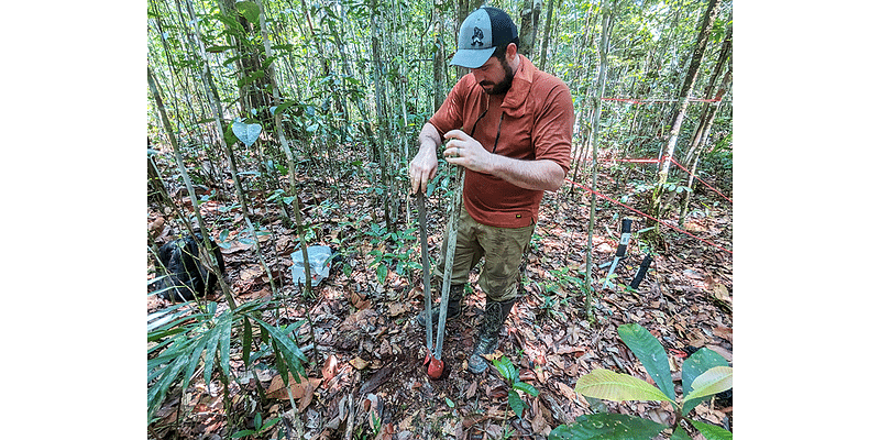 Los Alamos National Laboratory Research Shows Hydraulic Failure In The Tropics Expected To Increase