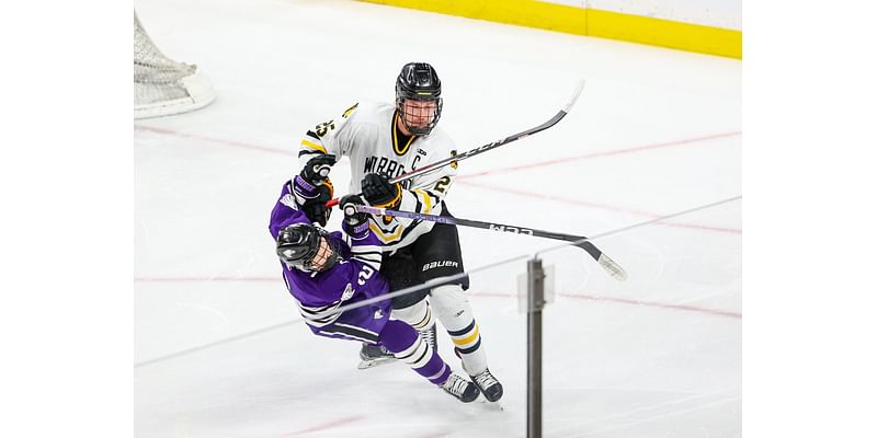 Minnesotans, newcomers to lead the way for reloading Austin Bruins