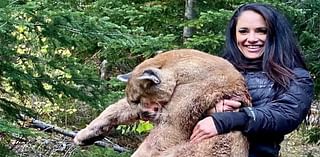 Big game hunters are caught 'charging clients huge sums to illegally butcher mountain lions on remote cliffs and ship them across America' - as sick trophy pictures glamorize their kills