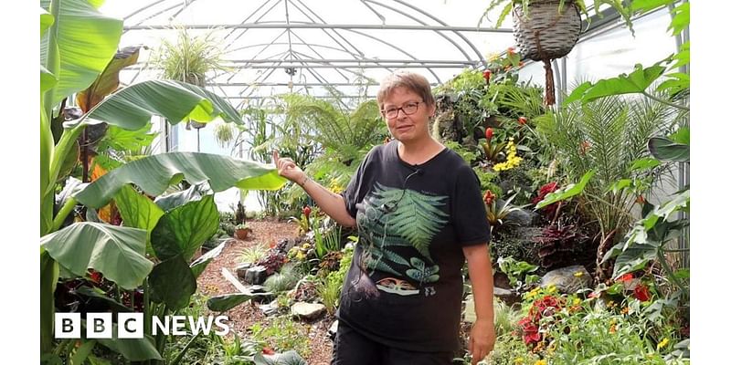 St Andrew's Healthcare community garden to appear BBC Two